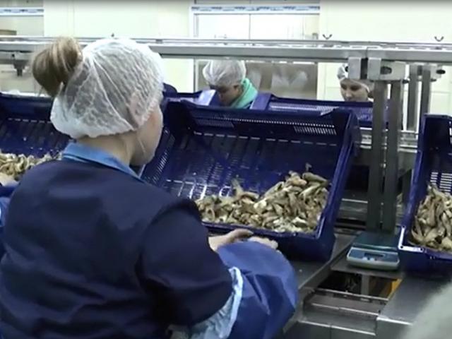 Фасовочный конвейер  в Зубовой Поляне