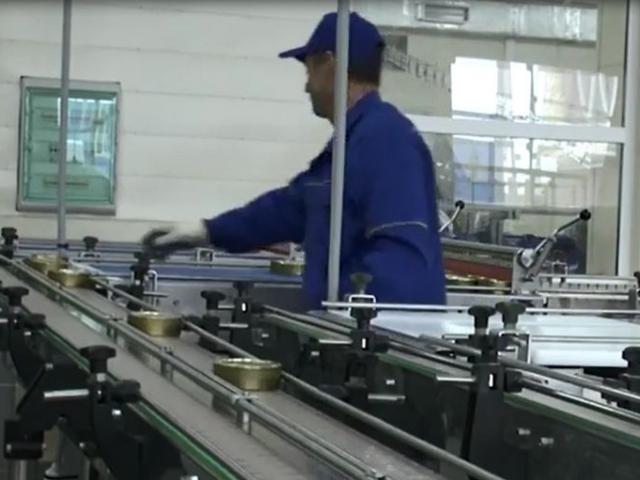 Транспортер пластинчатый (Универсальный) в Зубовой Поляне