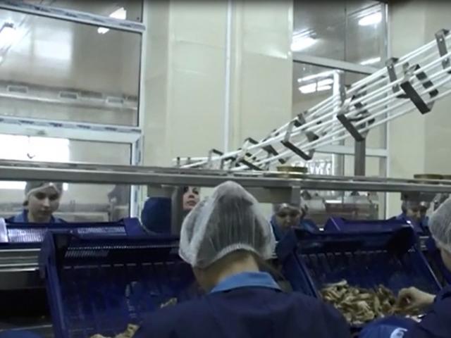 Гравитационная направляющая для пустой жестяной тары в Зубовой Поляне